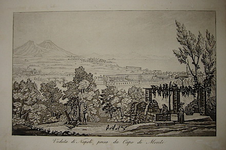 Gandini Francesco Veduta di Napoli, presa da Capo di Monte 1831 Cremona 